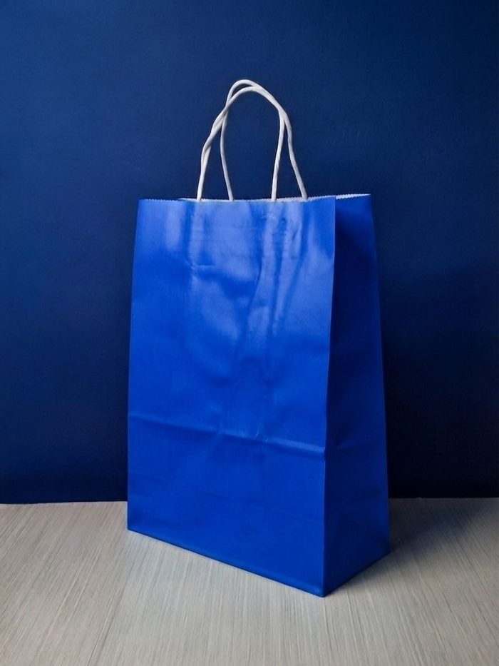 Bolsa Kraft Grande - Azul Rey
