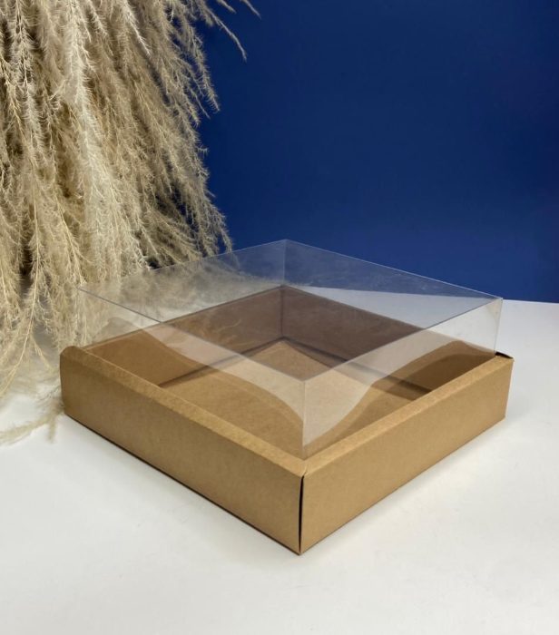 Caja Con Tapa De Acetato Talla L (24.5x24.5x10cm) 0581-L