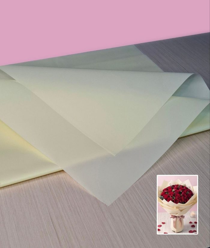 Papel Coreano Traslucido Cromatico Beige
