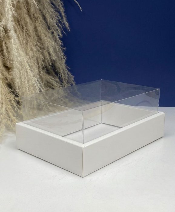 Caja Con Tapa De Acetato Talla M (24.5 X17x10cm) 0581-M