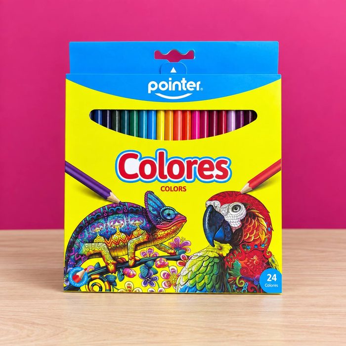 Colores Pointer 24und
