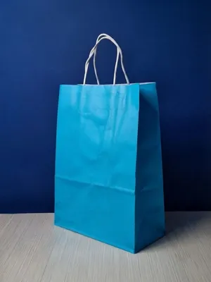 Bolsa Kraft Grande - Azul Cielo